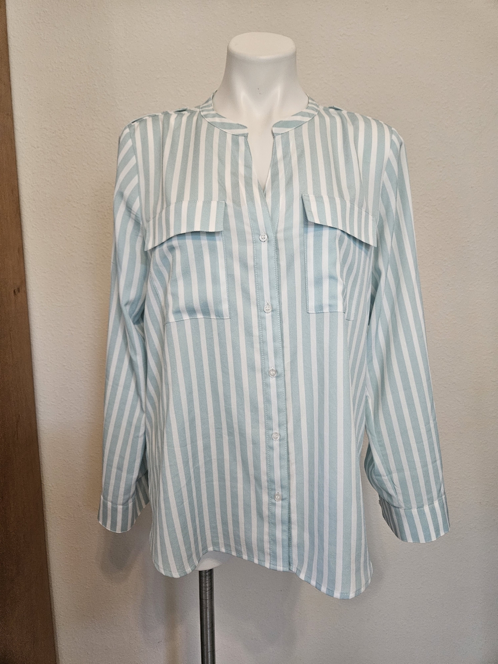 Calvin Klein Striped Mint and White Button-Front Women’s Blouse